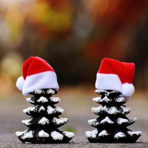 How Taking Out A Short Term Loan Can Help You This Christmas